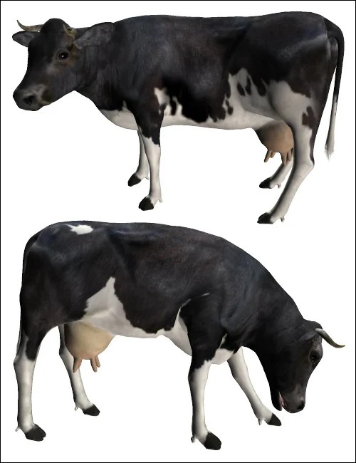 Noggin's Cow