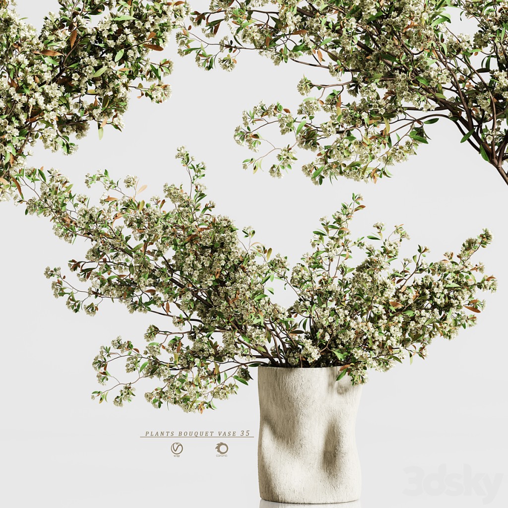 plants bouquet vase 35