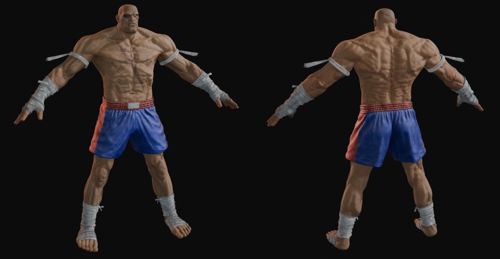 Sagat S2 Premium for Blender 4.x