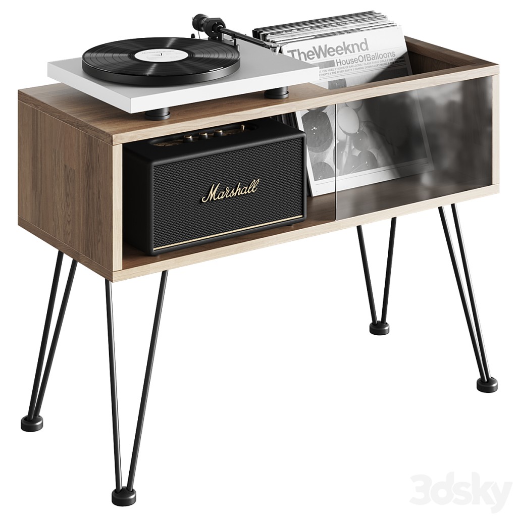 Stand With Vinyl Turntable And Speaker