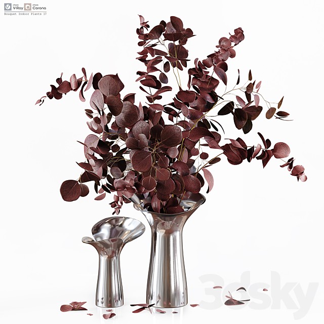Bouquet Indoor Plants 17
