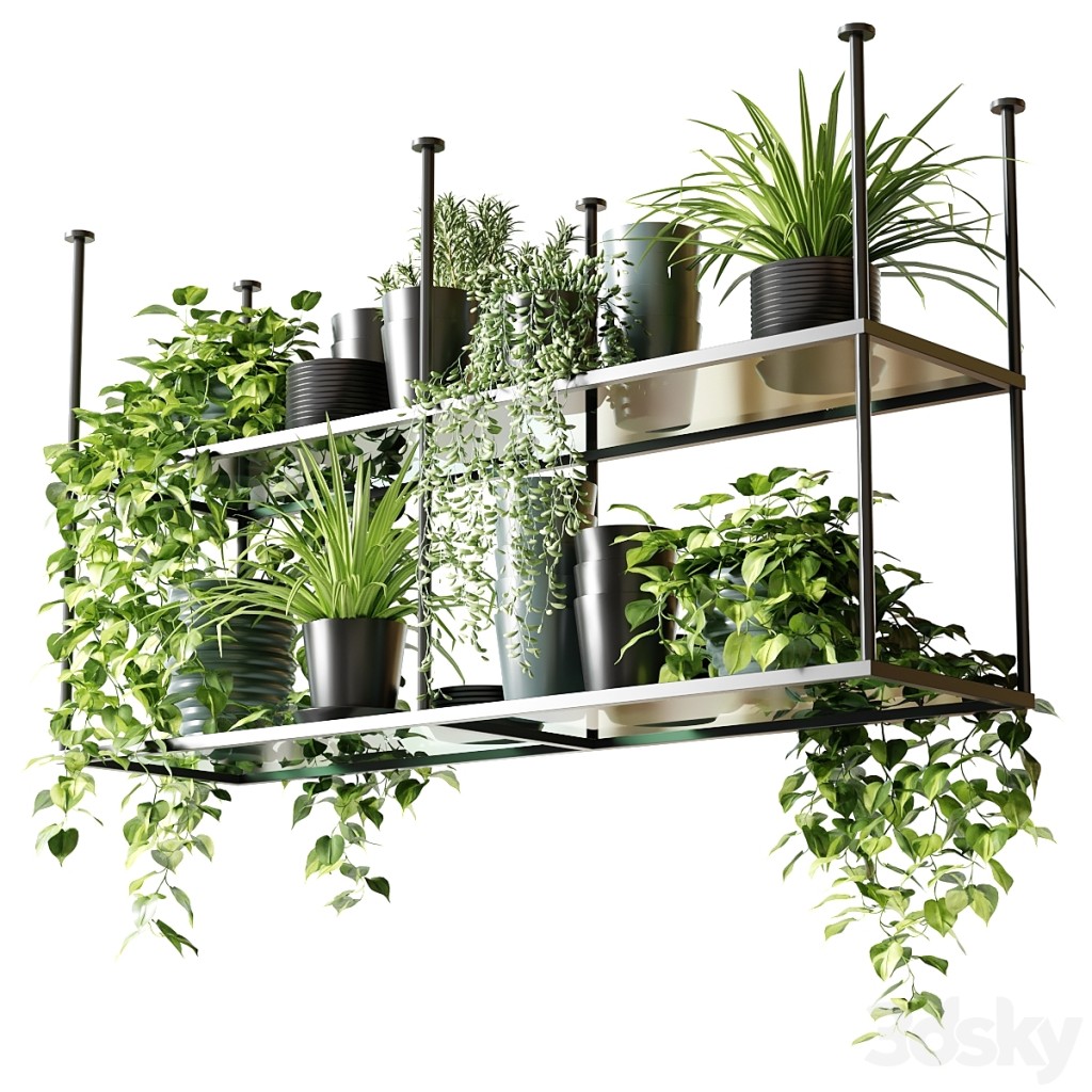 Hanging shelf with plants for the kitchen