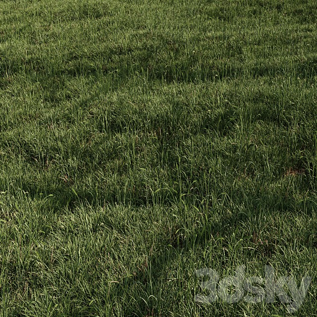 Grass Vol 02