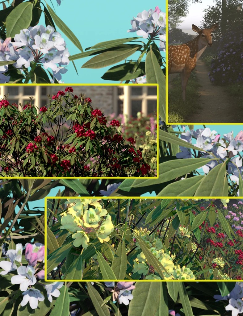 Rhododendron Bushes