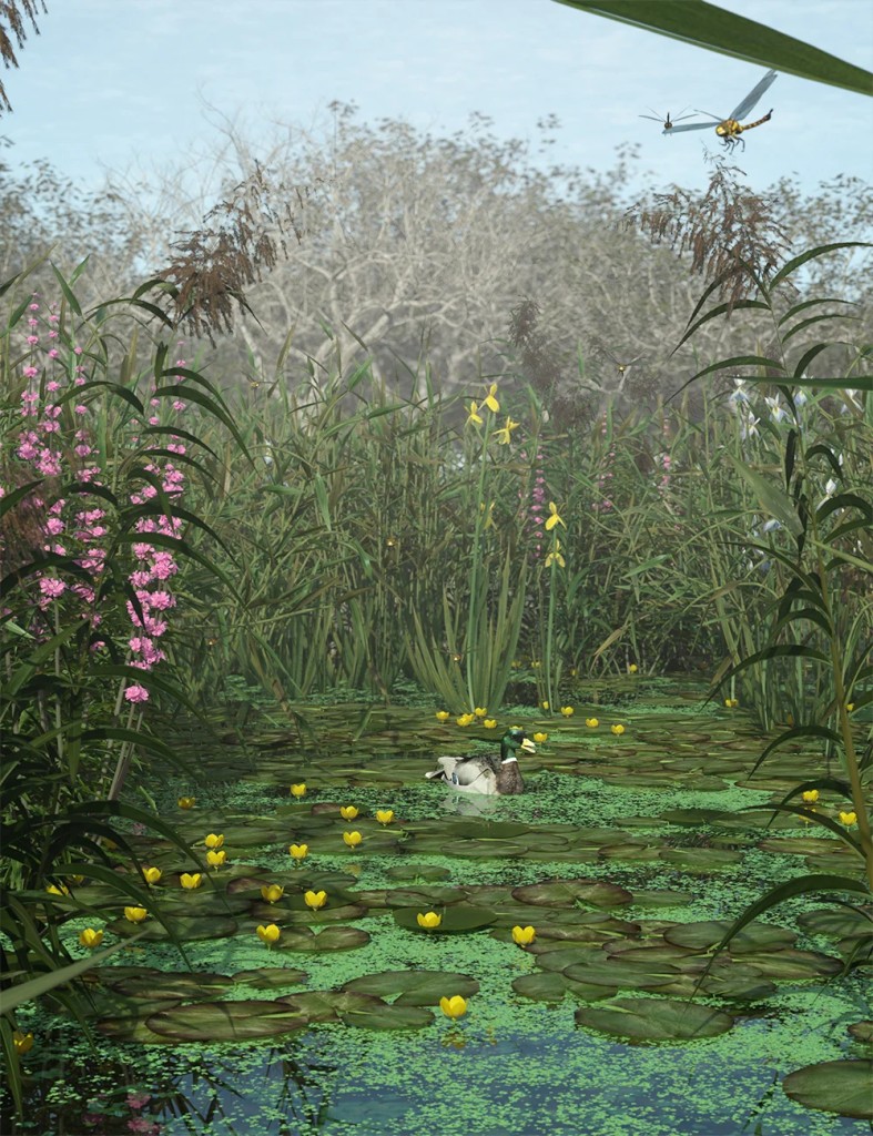Wetlands Low Res Plants for Vol 2 - Flowering Plants
