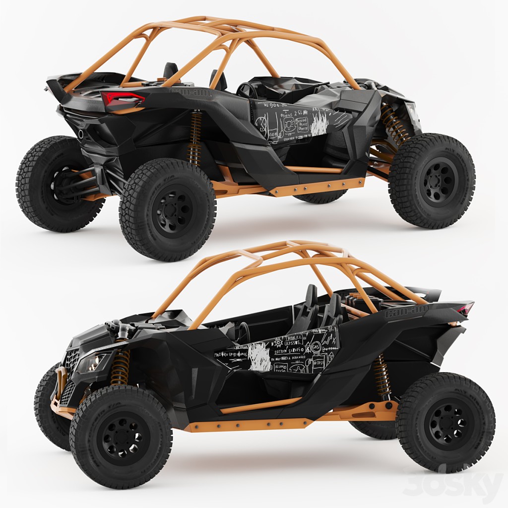 baggi can-am maverick 2019